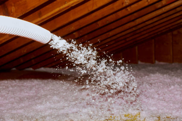 Best Commercial Insulation in Sheridan, IL
