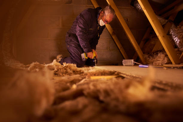 Best Insulation Installation Services in Sheridan, IL